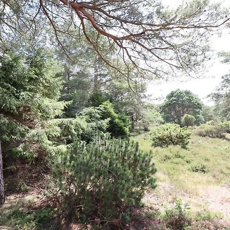 Haus-heideblick * 쿡스하펜